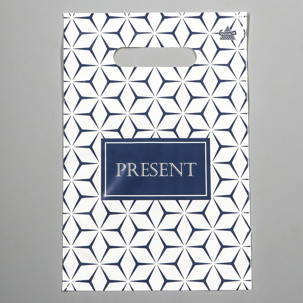 Пакет "Презент стиль", полиэтиленовый с вырубной ручкой, 20х30 см, 30 мкм 9489590