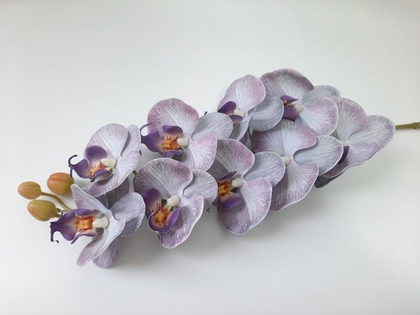 Орхидея "Перфект" 10
