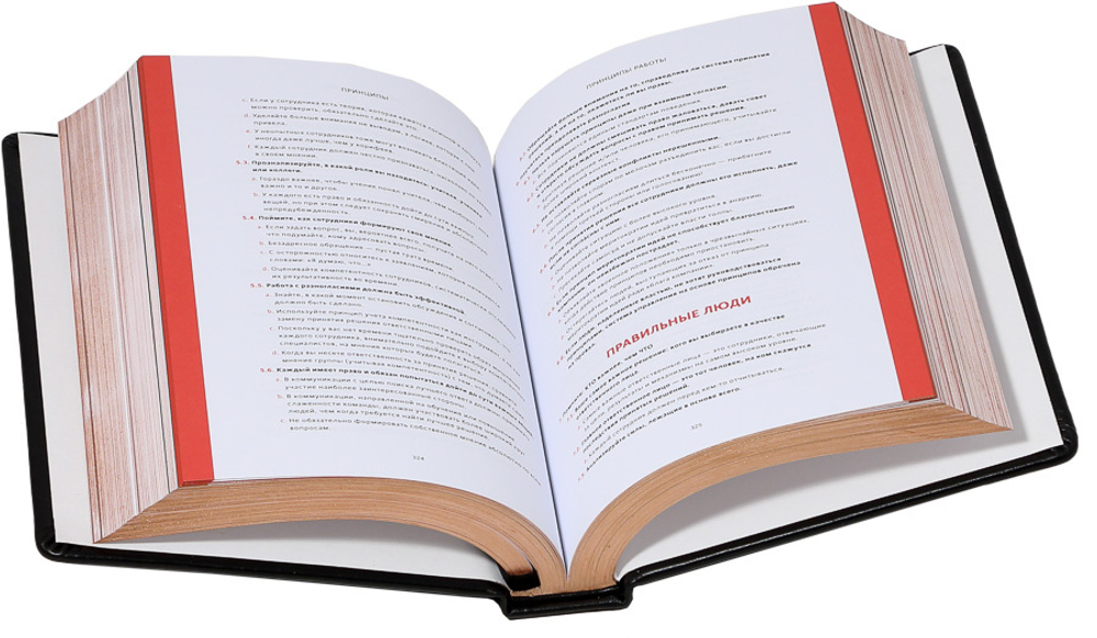 Принципы. Жизнь и работа