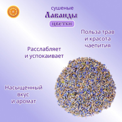 Лаванда цвет сушеный.