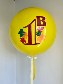 Большой шар на 1 сентября №1251