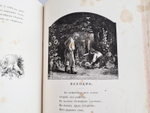 "Родные отголоски. Малорусская жизнь и природа. Сборник стихотворений" 1881 г  - книга в подарок