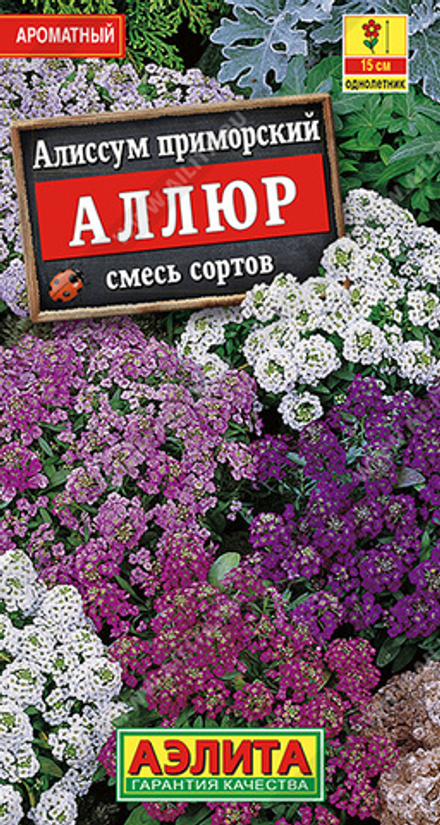 Алиссум Аллюр смесь 0,03гр Аэлита