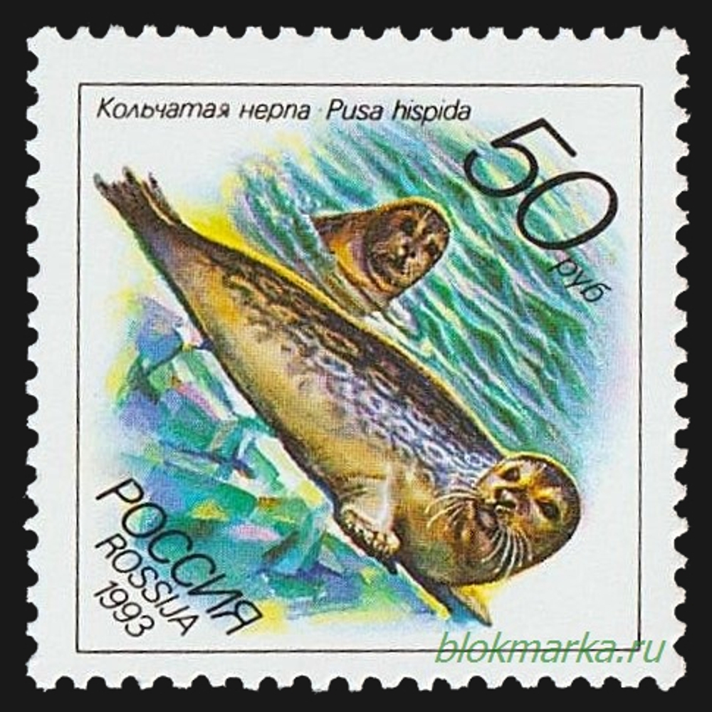 Россия 1993 г № 104-108 Серия Животные морей Тихоокеанского региона Чистая MNH **