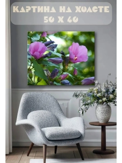 Картина на стену 40 X 50 Гибискус сирийский