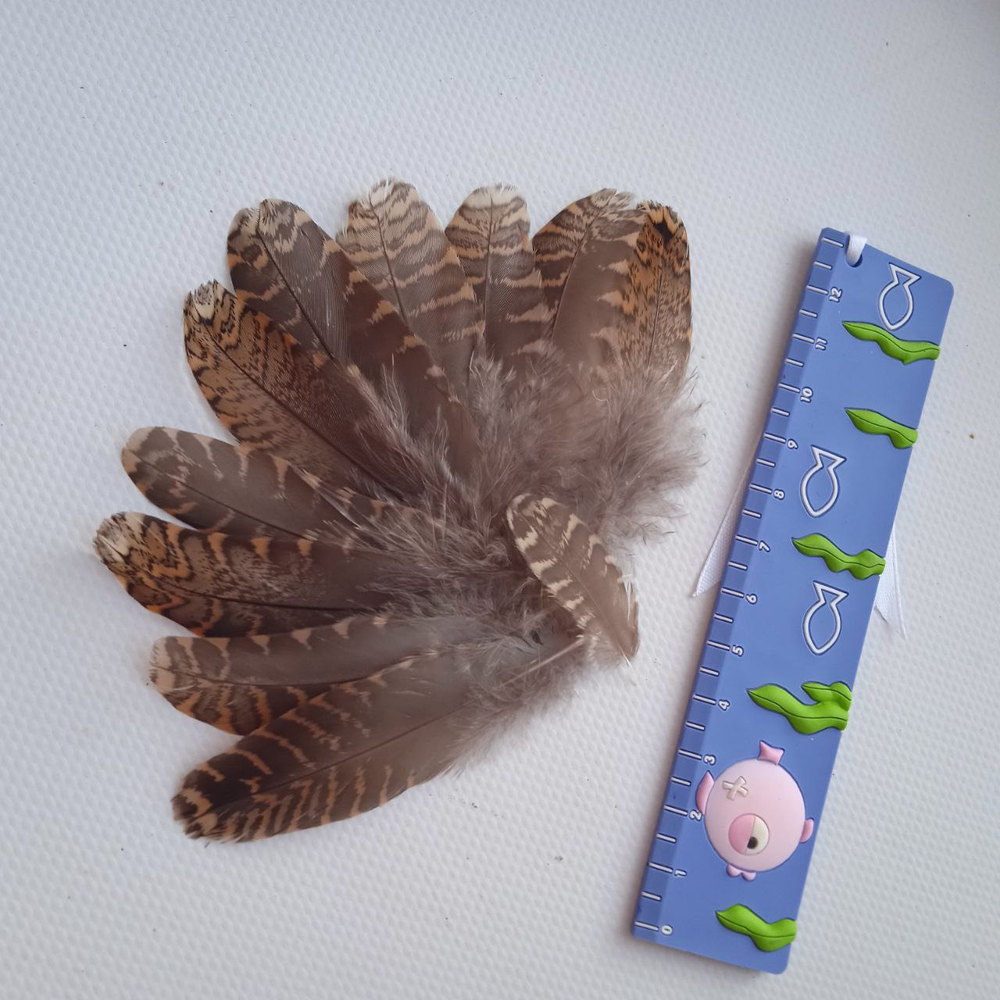 Перья вальдшнепа коричневые 6-9 см. 10 шт.