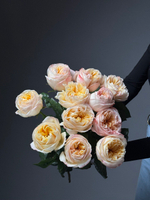 Букет из 11 персиковых пионовидных роз под ленту