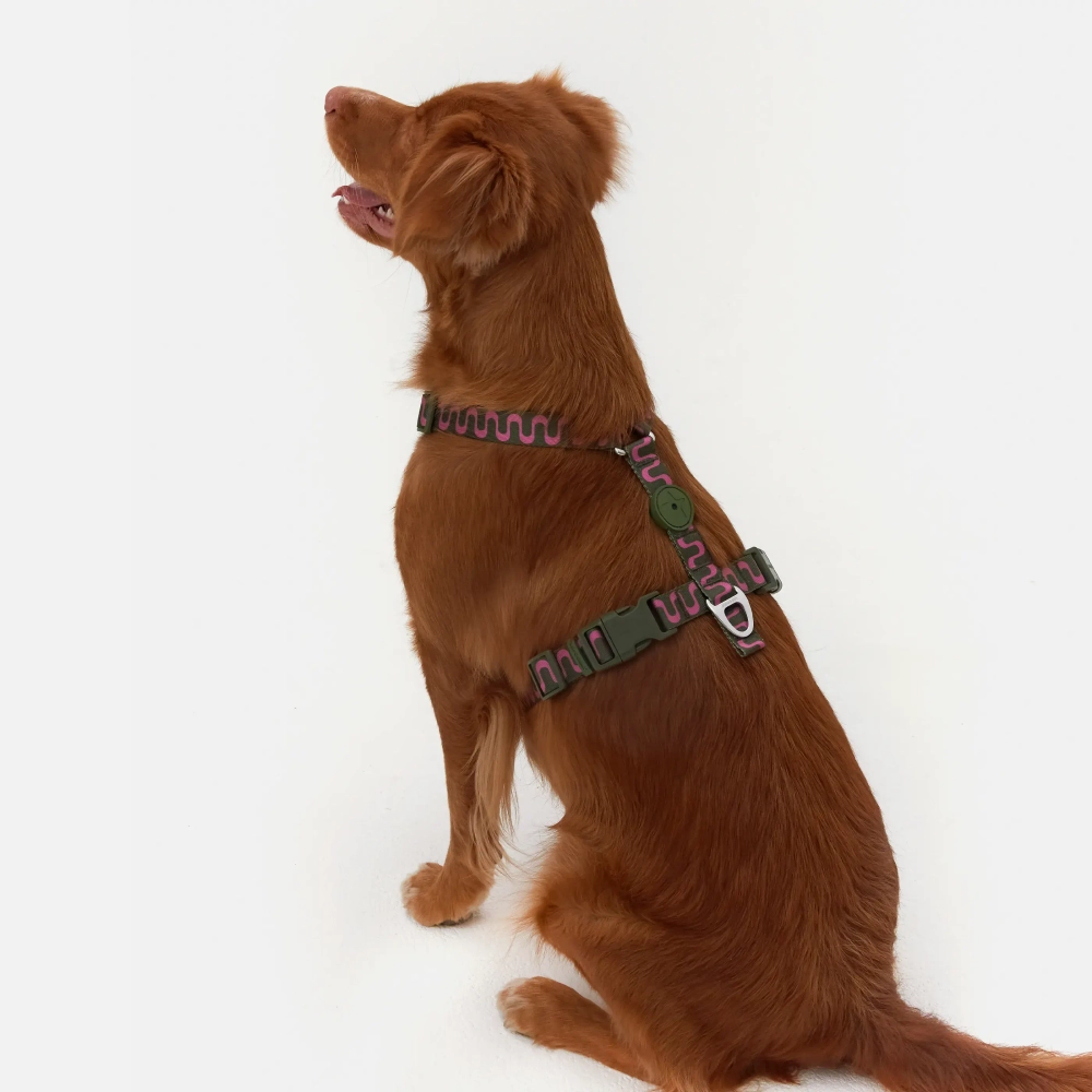 Анатомическая шлейка Jungle