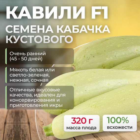 КАВИЛИ F1 семена кабачка (Nunhems | Alexagro) купить