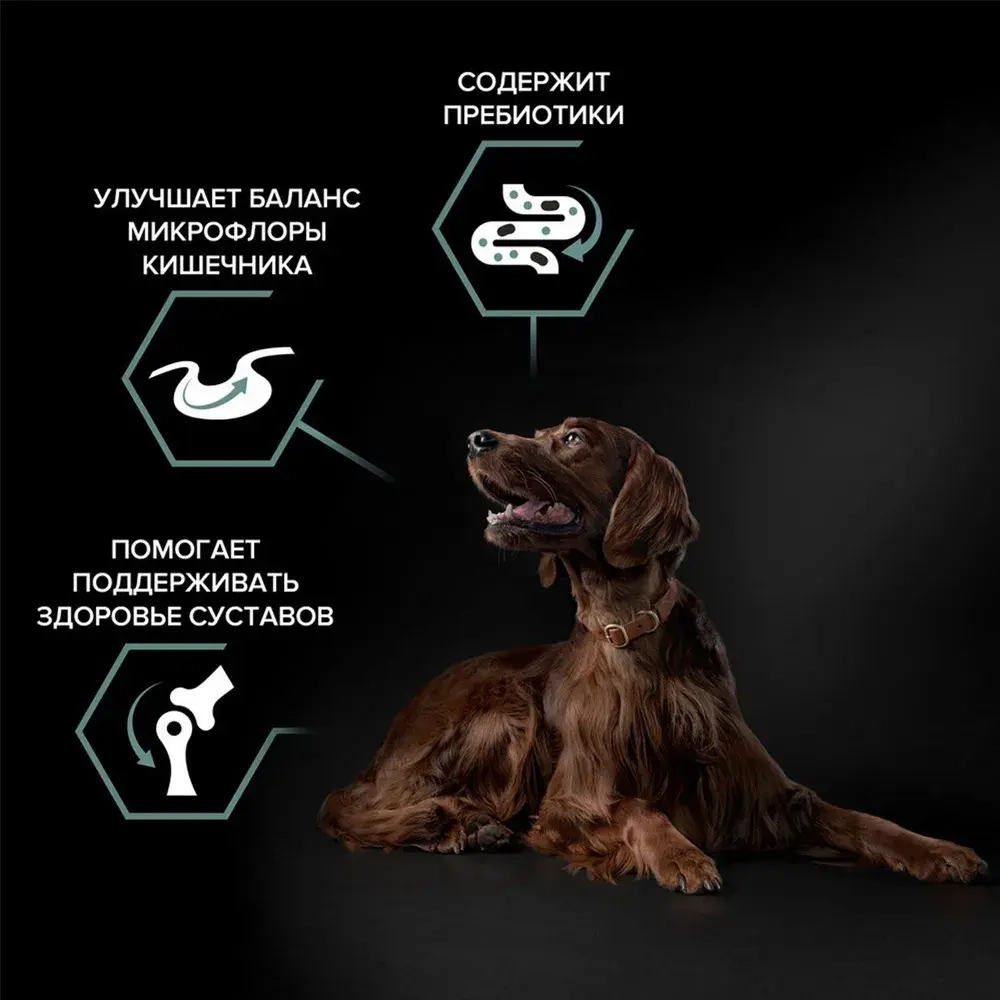 Корм сухой Ягненок, для собак крупных пород с чув пищ Атлетик ProPlan 12+2кг
