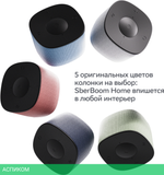 Умная колонка Sber Boom Home серый (SBDV-00171G)