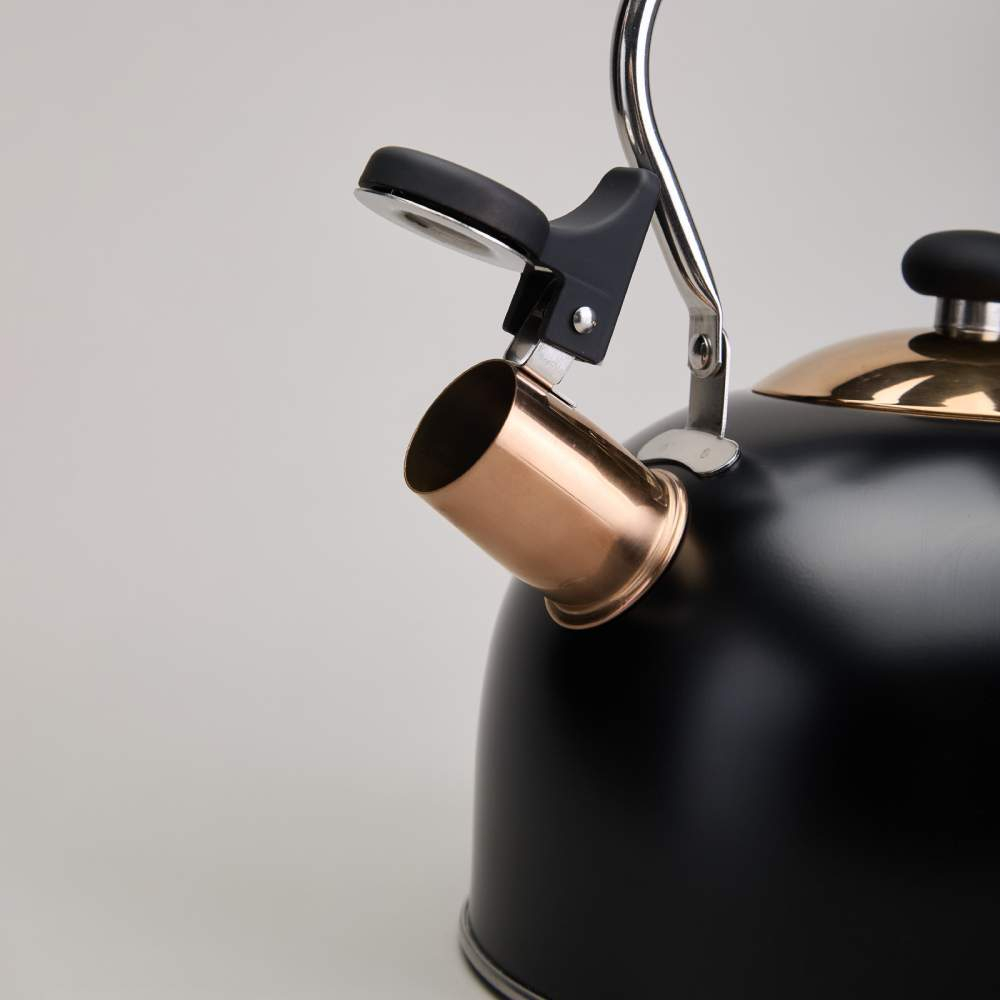 Чайник 2,5л нерж со свистком, индукция, 914-162