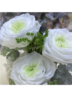 натуральные пионы в стекле, вакуум*