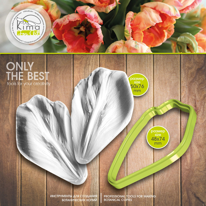 Тюльпан Bright Parrot лепесток большой