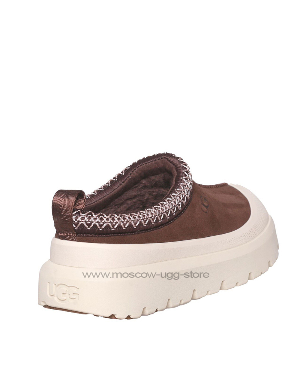 MEN'S TAZZ HYBRID - chocolate