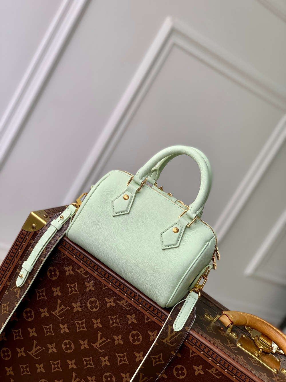 Louis Vuitton Speedy 18
