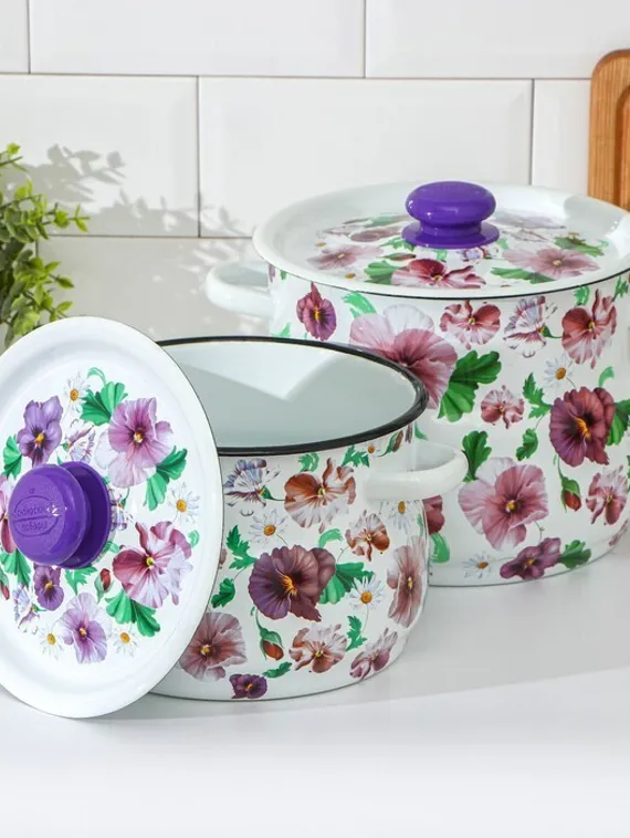 Набор кастрюль «Анютины глазки», 2 предмета: 4 л, 5,5 л, эмалированные крышки, индукция