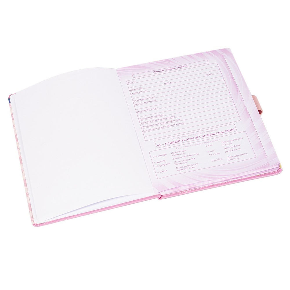 Дневник школьный Alingar 1-11 кл., 48л., 7БЦ, иск. кожа, полноцветная печать,магнитный клапан, "New style. Альпака"