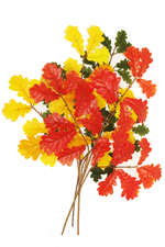 Ветка дуба кустовая