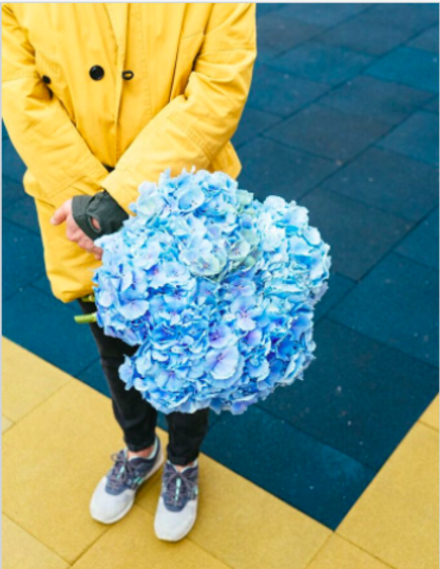 Небесный миндаль