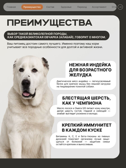Корм сухой для пожилых собак породы Среднеазиатская овчарка (Алабай) старше 5 лет, с индейкой, 12 кг, QUATTRO