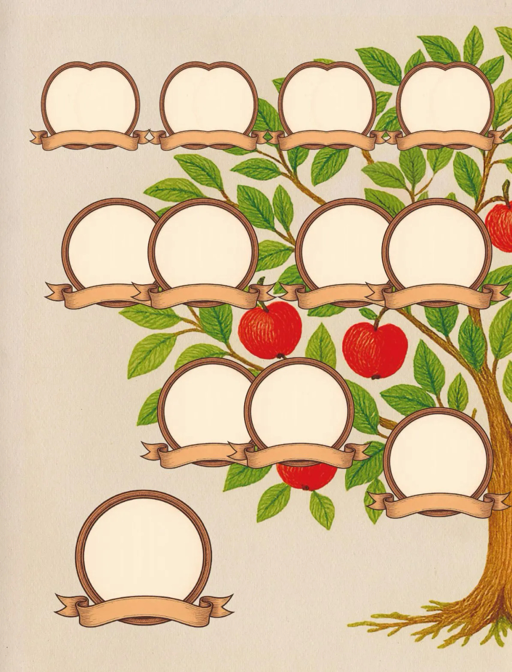 Разговор с бабушкой. Истории и древо семьи