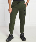 Спортивные штаны EA7 - зеленый(6RPP73 PJ05Z)