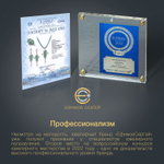 Ефимов Золотые серьги "Капля огня" 585 пробы с красным Калининградским, цельным, натуральным янтарем