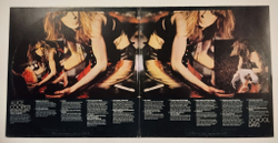 Винтажная виниловая пластинка LP Alice Cooper School Days The Early Recordings 2LP (Germany 1973)