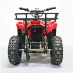 Электроквадроцикл Green Camel Гоби K40 (36V 800W R6 Цепь) быстросъем