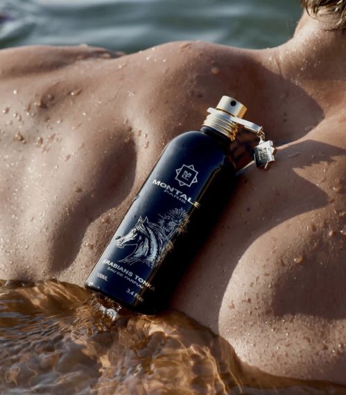 Montale Arabians Tonka