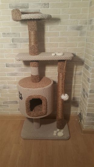 Когтеточка Д-21