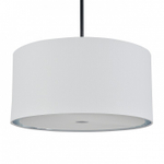 Светильник на штанге Escada Adagio 10186/1S