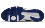 Кроссовки Nike Defy All Day