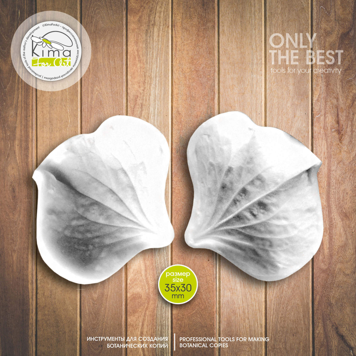 Гортензия Dolche лепесток средний