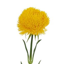 GAEM Цветок искусственный "Диантус", L8 W8 H50,5 см, 2в.