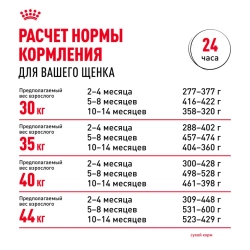 Royal canin maxi puppy сухой корм для щенков крупных пород до 15 месяцев - 3 кг