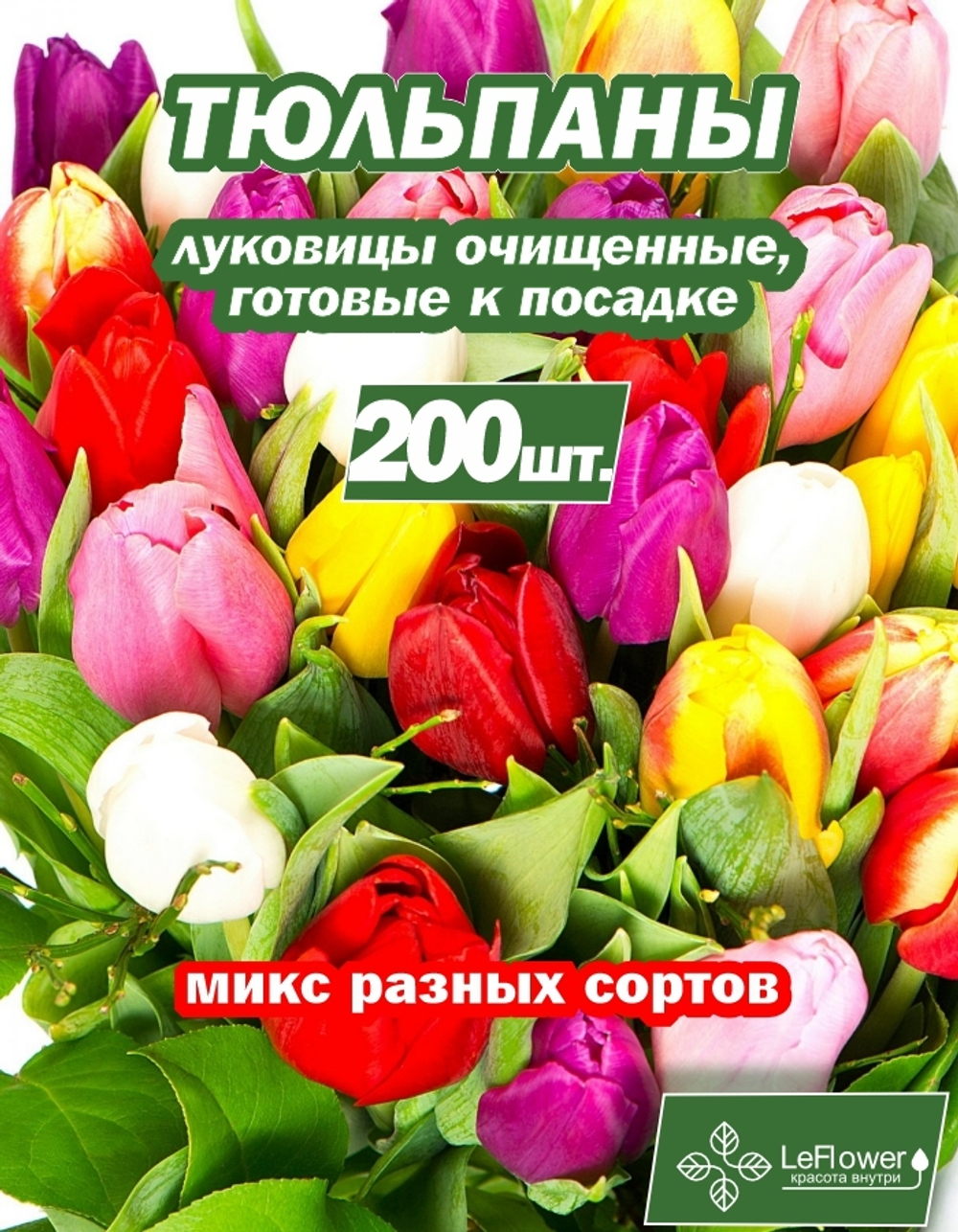 Тюльпан Луковица, Микс сортов, 200шт