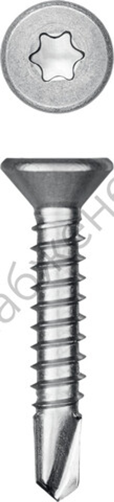 KRAFTOOL DS-C 25 х 4.2 мм, А2, сверло, потай, ТХ20, саморез нержавеющий, 400 шт (300932-42-025)