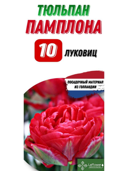 Тюльпан Луковица, Памплона, 10шт