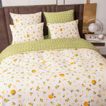 Комплект постельного белья Сатин 100% хлопок C638