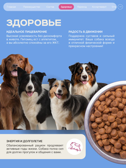 Корм сухой для взрослых собак породы Акита-ину, премиум полнорационный комплекс, с говядиной, 12 кг, QUATTRO