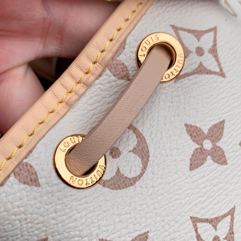 Louis Vuitton Montsouris Mini