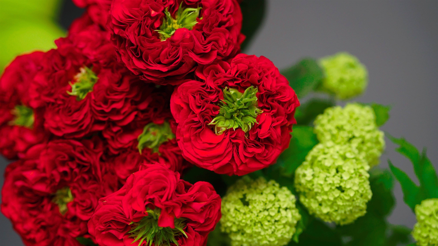 ГАРАНТИЯ СВЕЖЕСТИ