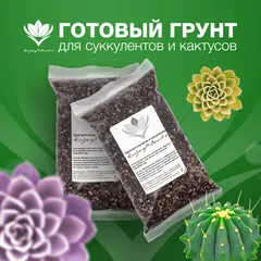 Готовый грунт для суккулентов и кактусов с шунгитом "EnjoyPlants" 1л