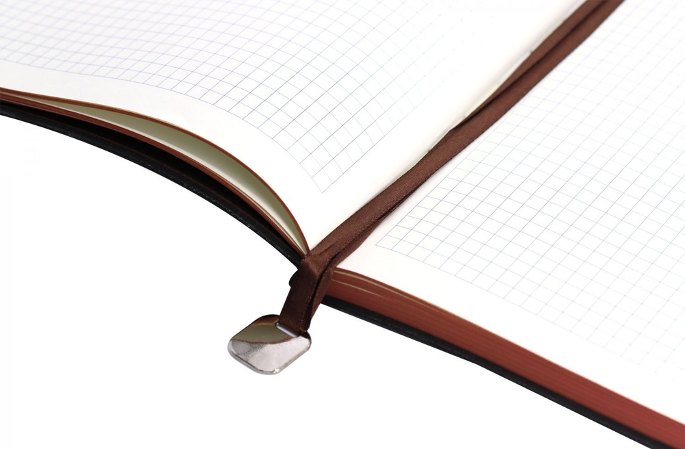 Записная книжка 12,7 см х 18,0 см, Yalong, интегр. переплет, иск. кожа, ляссе-закладка с металлич. фурнитурой, тонир. срез, ассорти, клетка, 112 л,