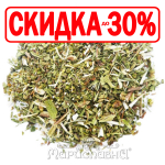 Зюзник европейский (трава)