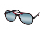 Ray-Ban Powderhorn RB4357 6552GA