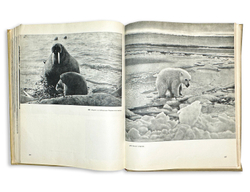 Фотоальбом: Наша Родина. М., Географгиз, 1957 г.