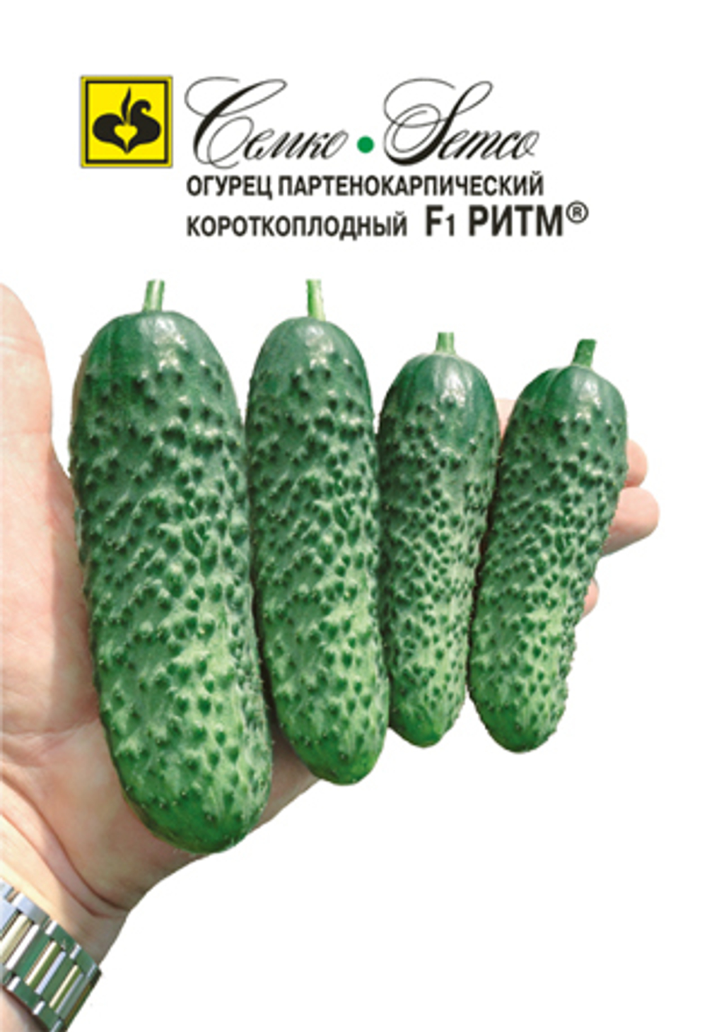 Огурец Ритм Семко